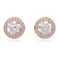 ORECCHINI A LOBO TAGLIO TONDO PAVE DONNA SWAROVSKI ORECCHINI A LOBO TAGLIO TONDO PAVE DONNA SWAROVSKI