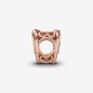 CHARM CUORI INTRECCIATI CON PIETRE DONNA PANDORA CHARM CUORI INTRECCIATI CON PIETRE DONNA PANDORA