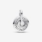 CHARM MEDALLION ZODIAC WHEEL DONNA PANDORA ME CHARM MEDALLION ZODIAC WHEEL DONNA PANDORA ME