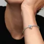CHARM VERGINE DONNA PANDORA 