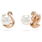 ORECCHINI A LOBO CIGNO NERO DONNA SWAROVSKI SWAN ORECCHINI A LOBO CIGNO NERO DONNA SWAROVSKI SWAN